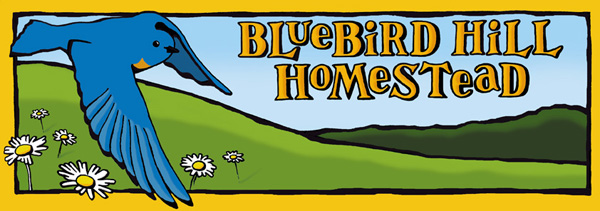 Bluebird hill homestead banner